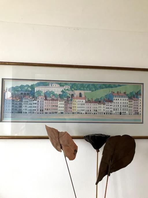 Vue Sur L'Eau Apartment Lyon Exterior foto